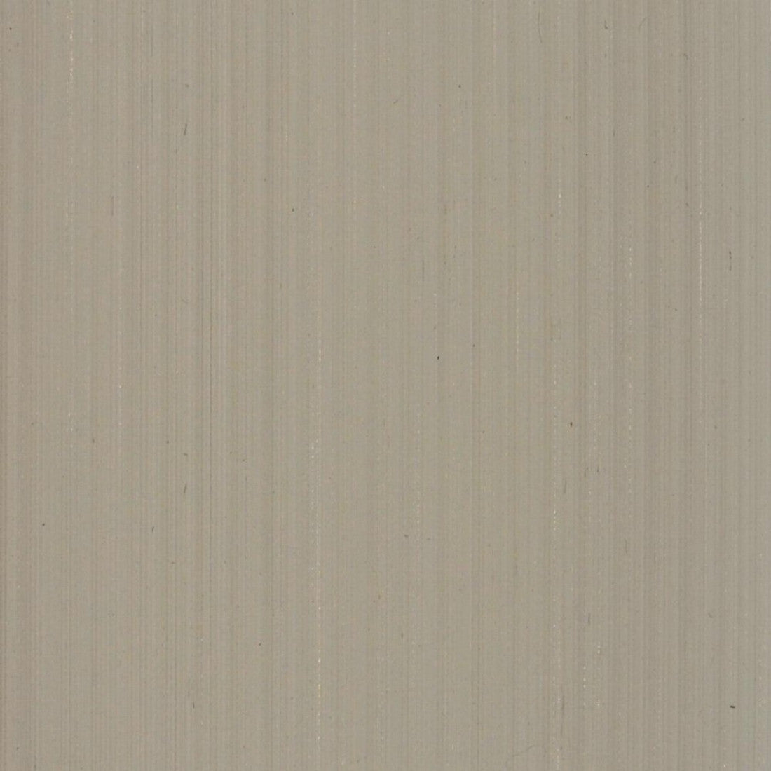 Microzey PLA PRO filament 3D transparent 1,75 mm 1KG